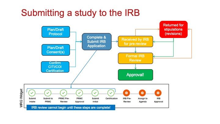 Flowchart depicting the IRB submission process