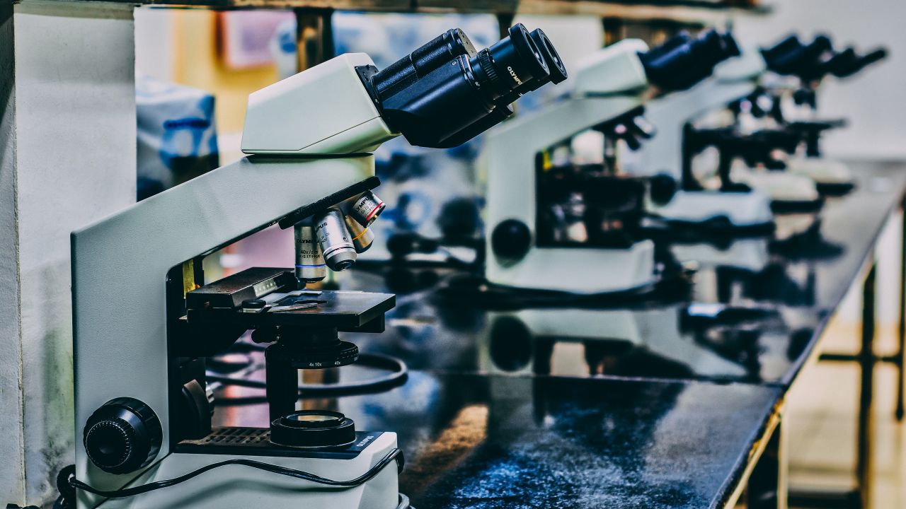 Color photo of a line of microscopes in a lab
