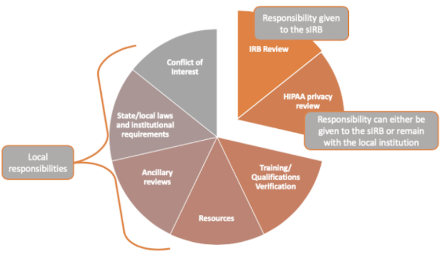 Pie chart with IRB review and HIPAA review slices offset as sIRB responsibilities and all other slices denoted as local responsibilities